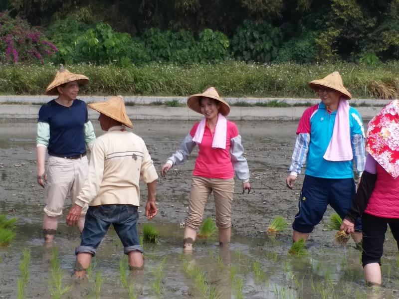 許主任、吳署長與謝局長在農民指導下手持秧苗赤腳插秧