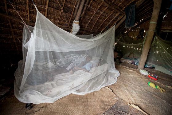 經處理的蚊帳，幫助住在瘧疾盛行區域的民眾，防範被蚊子叮咬