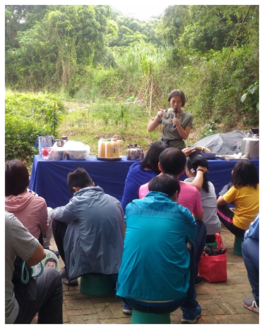 108年11個地方政府與3個環保團體共同辦理非農地環境雜草管理宣導活動及講座執行成果