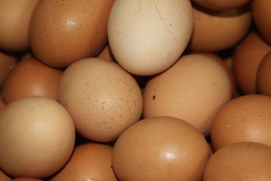 從蘇丹紅鴨蛋、芬普尼雞蛋，這些食安問題都讓日常飲食蒙上一層陰影