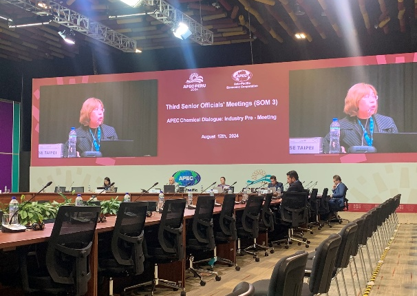 我代表團發言-3