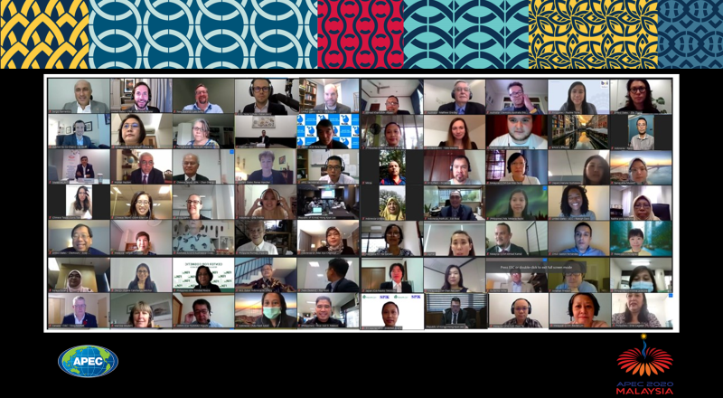 化學對話線上會議合照