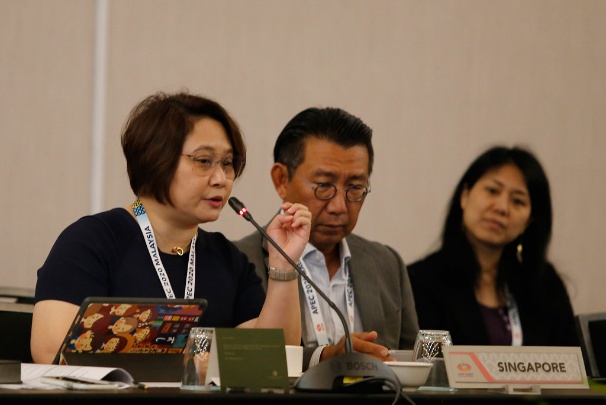 新加玻代表發言